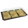 X-Stream Heat Propagator Large