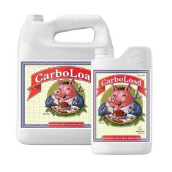 Carboload 1 litre