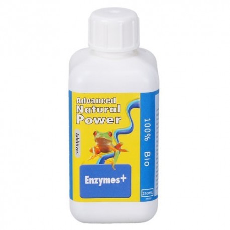 Dutch Formula Enzyme 500 ml