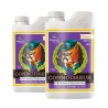 Connoisseur Bloom A+B 2x5 litres