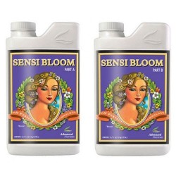Sensi Bloom A+B 2x1 litres