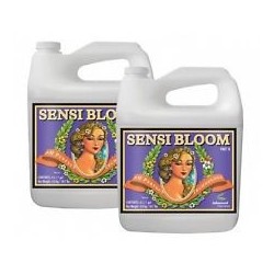 Sensi Bloom A+B 2x5 litres
